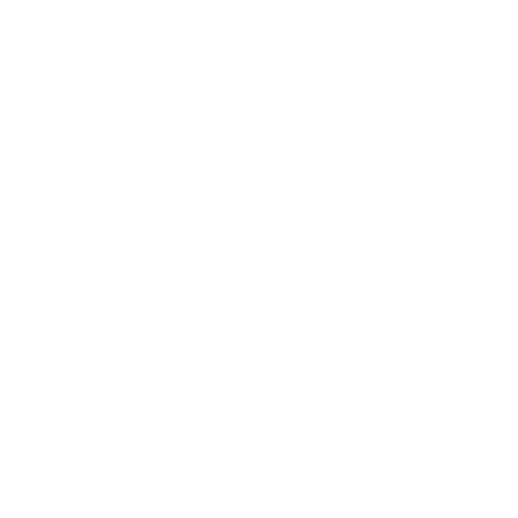 Levoy Exil logo