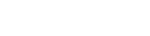 Levoy Exil logo