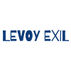 Levoy Exil | Paintings